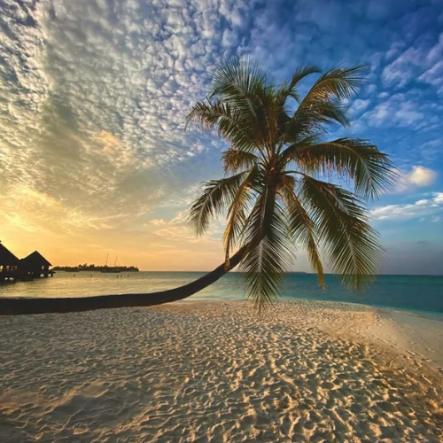 Lakshadweep